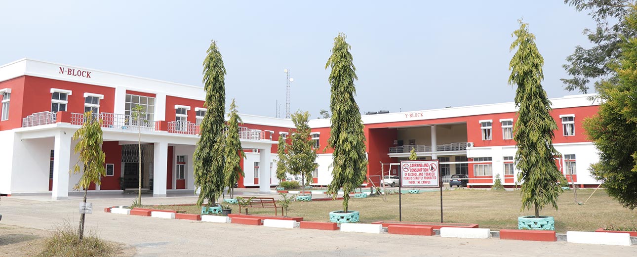 ICFAI University Nagaland